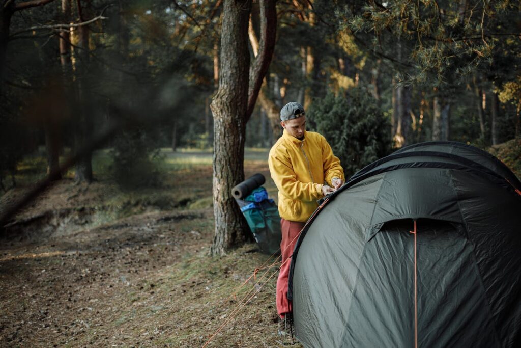 Camping tent setup in forest during sunrise